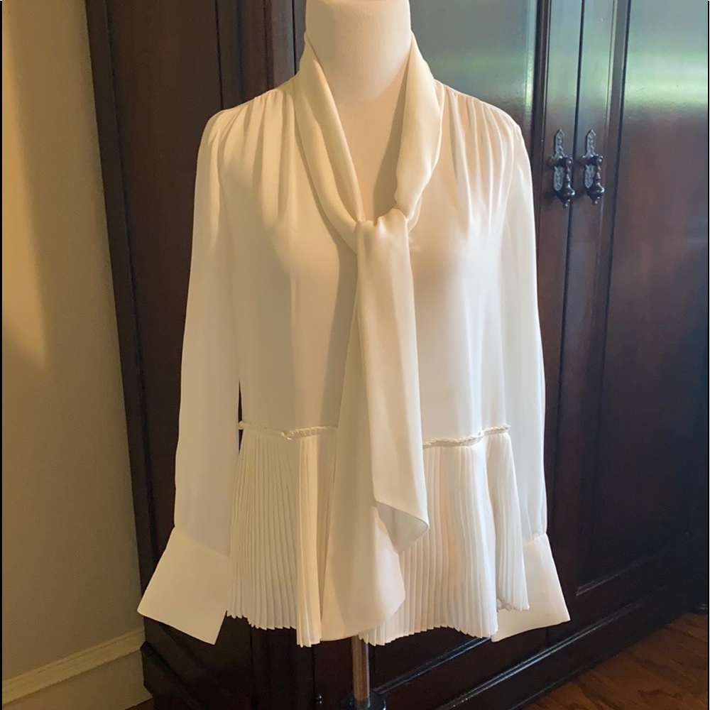 Ivory Frame Blouse with Pleats